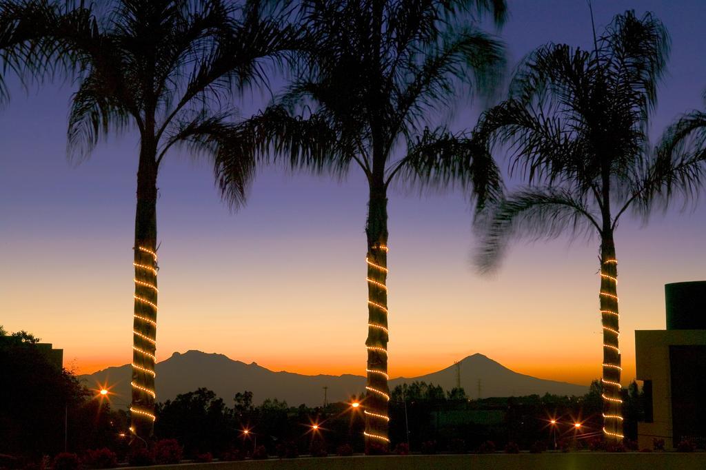 Novotel Santa Fe Hotel Cidade do México